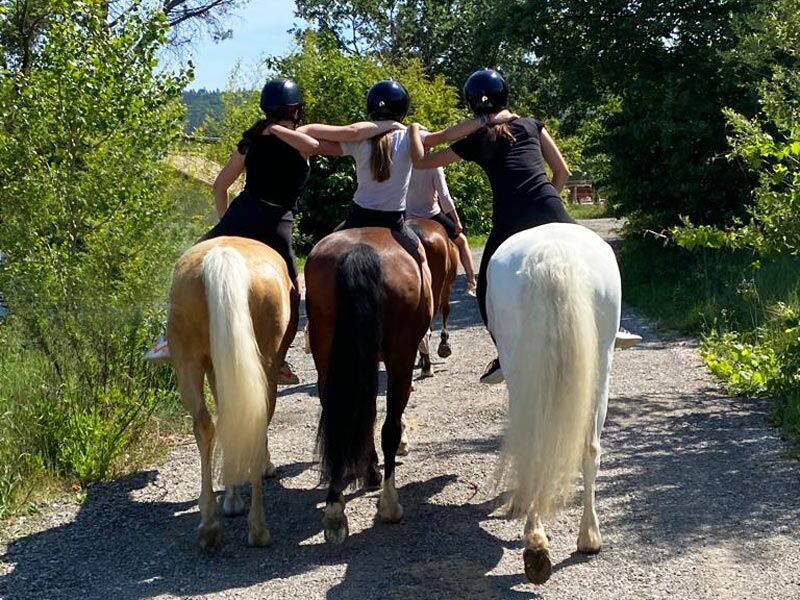 Private Riding Lessons. French Riviera EQUESTRIAN MONACO